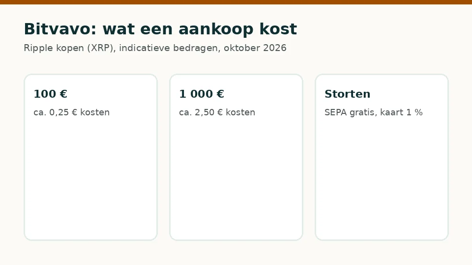 Bitvavo: indicatieve kosten voor een aankoop van 100 € en 1 000 €